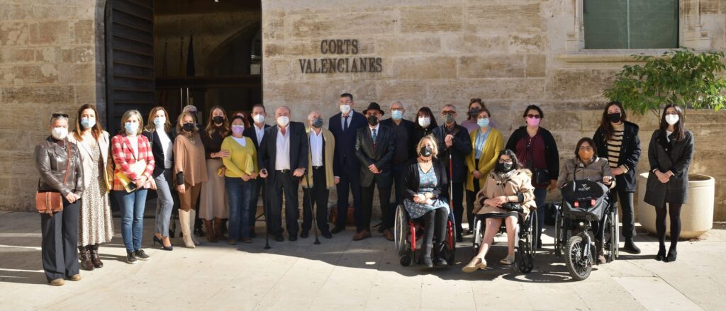 Grupo de personas con discapacidad y representantes de las asociaciones en las puertas del edificio de Cortes Valencianas