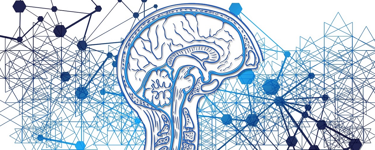 Tecnología en 2030: Dispositivos cotidianos para vigilar la salud y asistentes inteligentes controlados con el pensamiento
