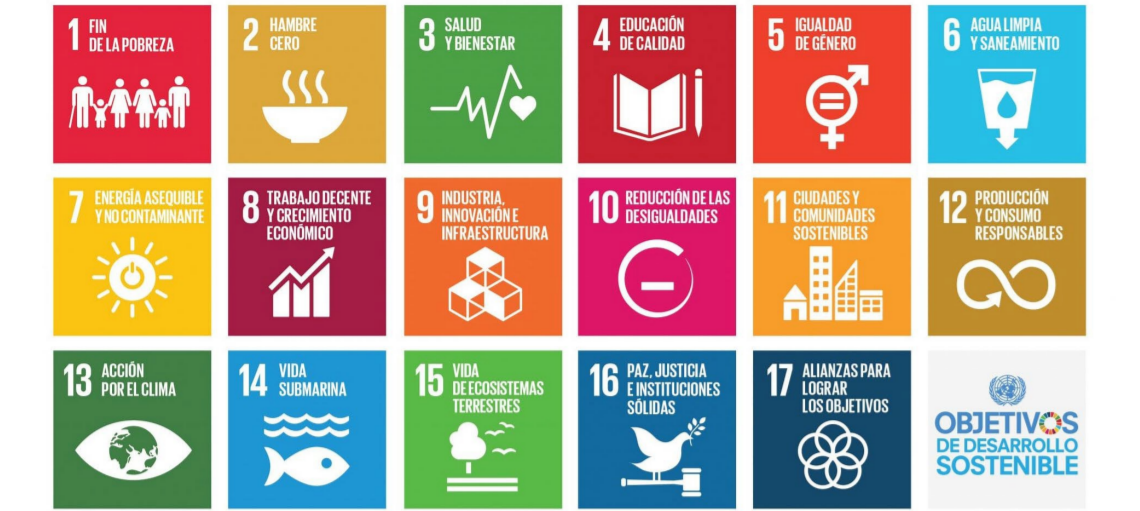 ¿Qué suponen para la igualdad y accesibilidad universal real los ODS y la Convención sobre los Derechos de las Personas con Discapacidad? El Cermi lo explica