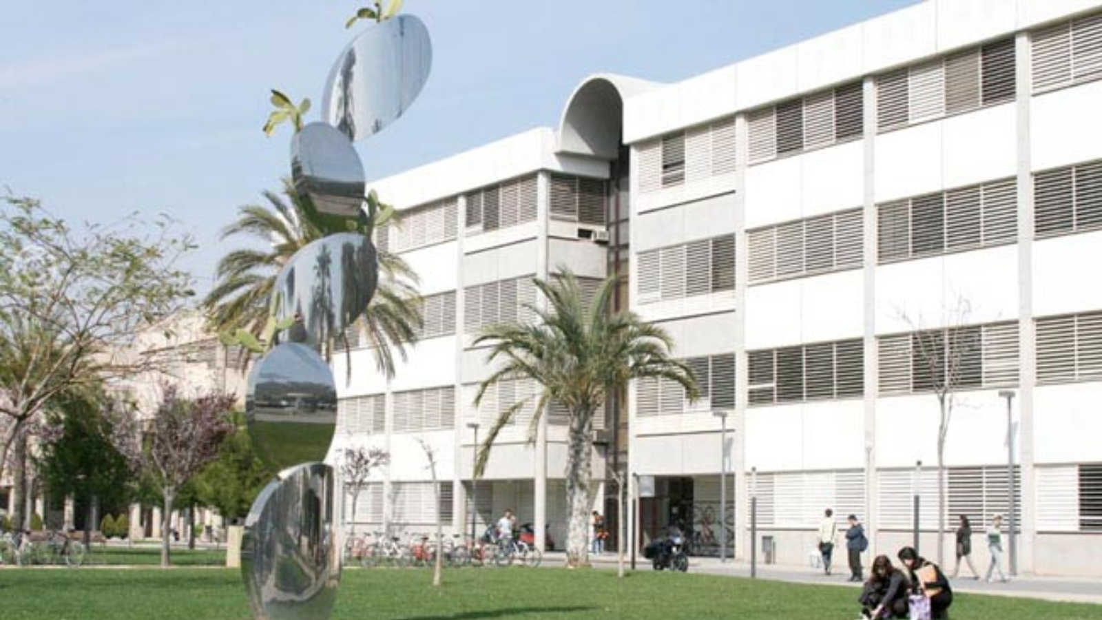 El CERMI plantea al Congreso enmiendas para «reforzar la dimensión inclusiva» en la futura nueva Ley de Universidades